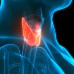 Feeling hopeless about your underactive thyroid? These two nutrients may help, study suggests