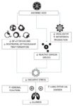 Landmark Publication on Vitamin C for COVID-19