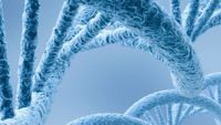 Epigenetics—Inheriting More Than Genes