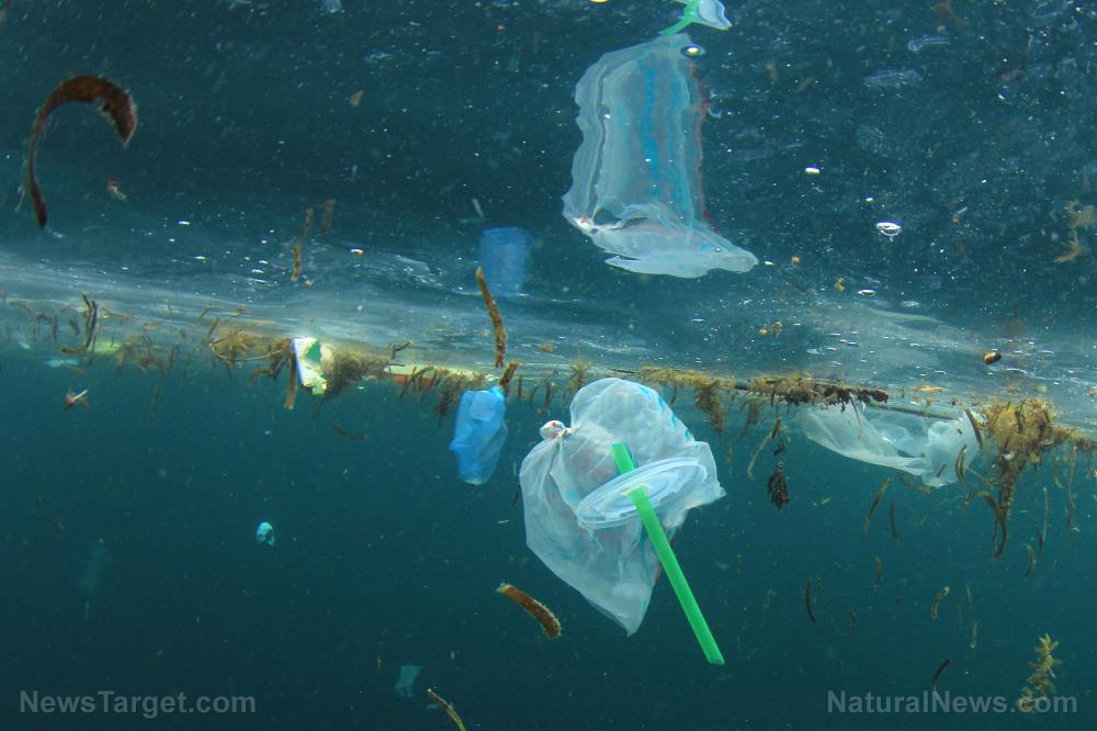 Single-use plastics from Asian ships have been piling up on a remote South Atlantic beach since the ’80s, warn scientists