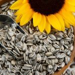 Ready to fight heart disease? Boost your heart health with these tiny seeds