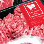 Fake Farming: Bill Gates wants synthetic meat substitutes to replace the use of animals by 2035