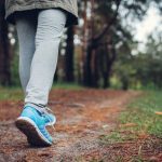 Science-backed benefits of forest walking that will surprise you