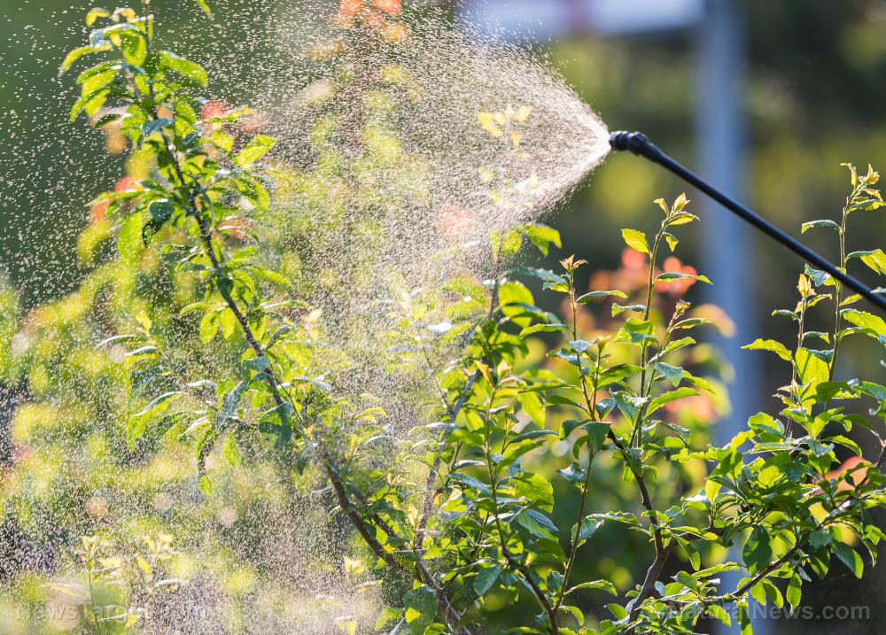 Living near pesticide-treated farms raises risk of childhood brain tumors