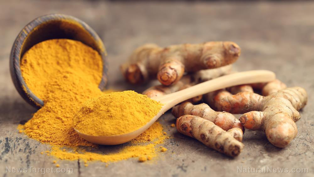 How to grow, harvest and use turmeric, a versatile superfood