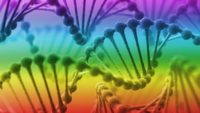 Born This Way: Do “Biological Factors Drive Homosexuality?”