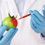 Studies confirm, harm from GMO foods is real – here is how to avoid them