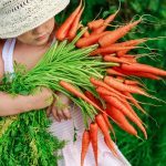 Eating organic helps kids score higher on cognitive tests, according to study