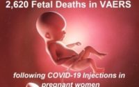 2,620 Dead Babies in VAERS After COVID Shots – More Fetal Deaths in 11 Months than Past 30 Years Following ALL Vaccines as Scotland Begins Investigation