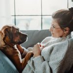 Fascinating study shows how owning pets may be good for your brain health