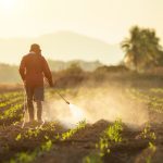 Report reveals SHOCKING level of glyphosate contamination in foods sold by top grocery stores