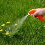 Weedkiller causes Parkinson’s Disease, 600+ lawsuits allege